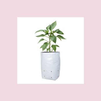 Grow Bags